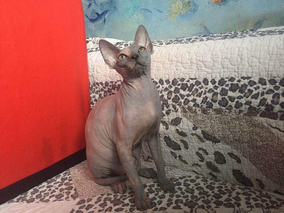 Супер красивые малыши