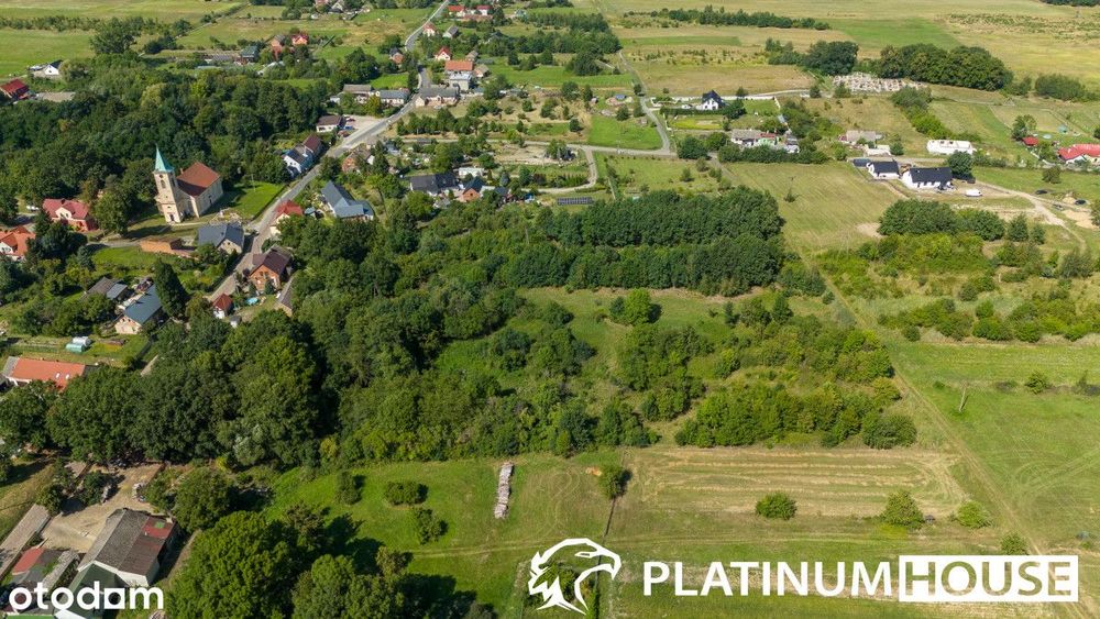 działka 7 900 m² z Decyzją O Warunkach Zabudowy - Więcej