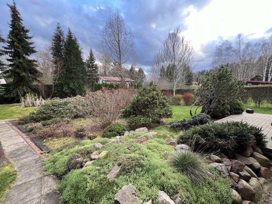 Działka ROD. Krępa Rosa. Chojnowski Park Krajobrazowy. Zalesie Górne.