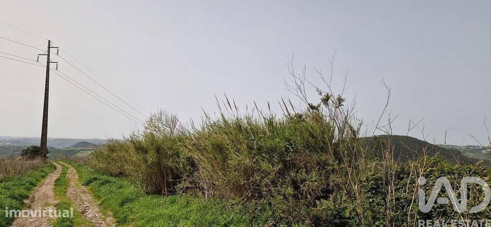 Terreno Agrícola em Mafra