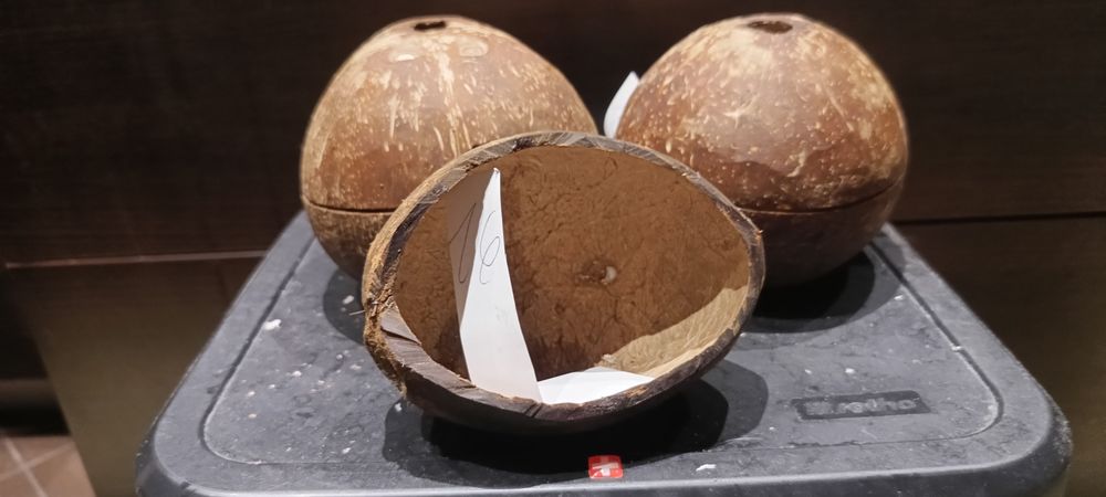 Domek orzech kokosowy szlifowany