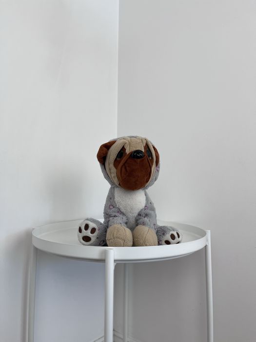 Pluszowy piesek w bluzie