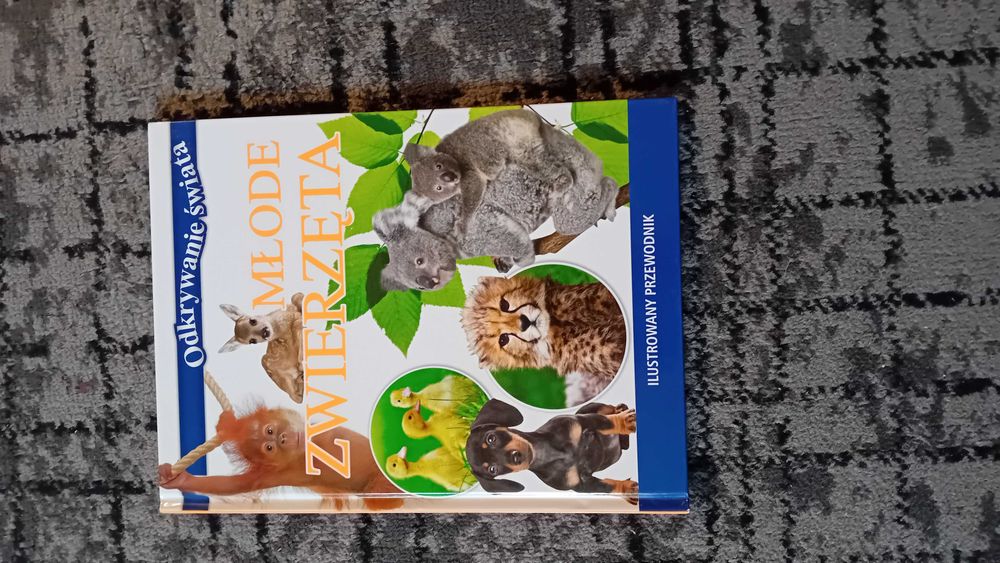 1 Odkrywanie świata: Młode Zwierzęta