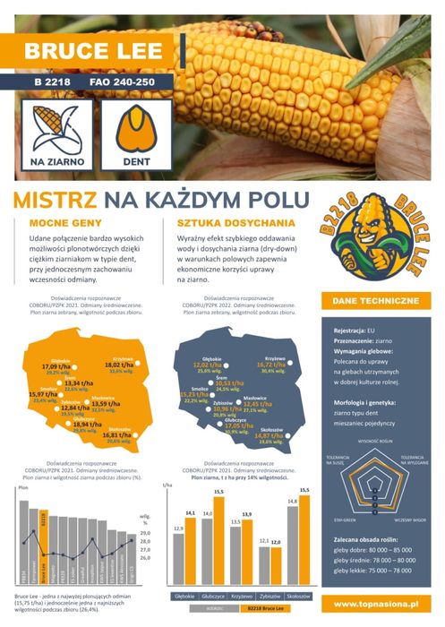 BRUCE LEE - Miatrz na każdym polu