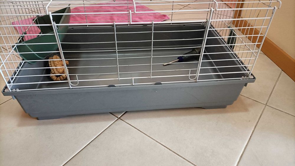 Gaiola para porquinho da Índia e coelhos