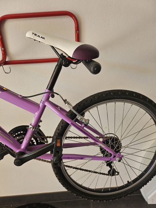 Bicicleta TEAM F4 Shimano