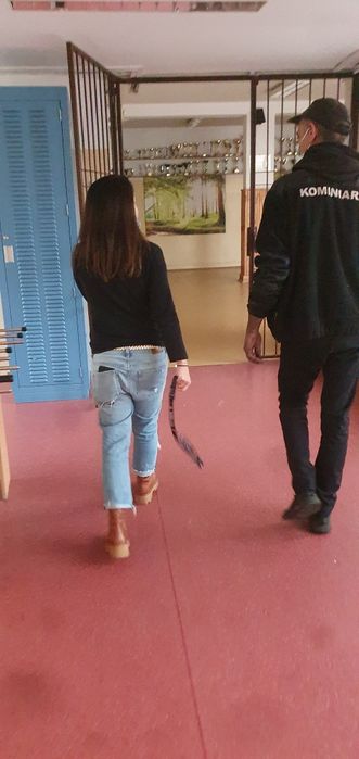 KOMINIARZ SIEDLCE Usługi Kominiarskie Pełen Zakres Czyszczenie kominów