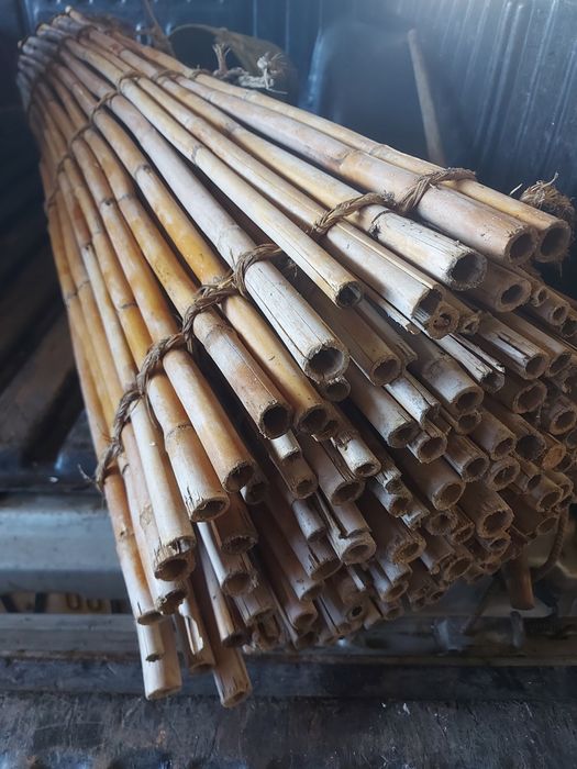 Esteira canas antiga