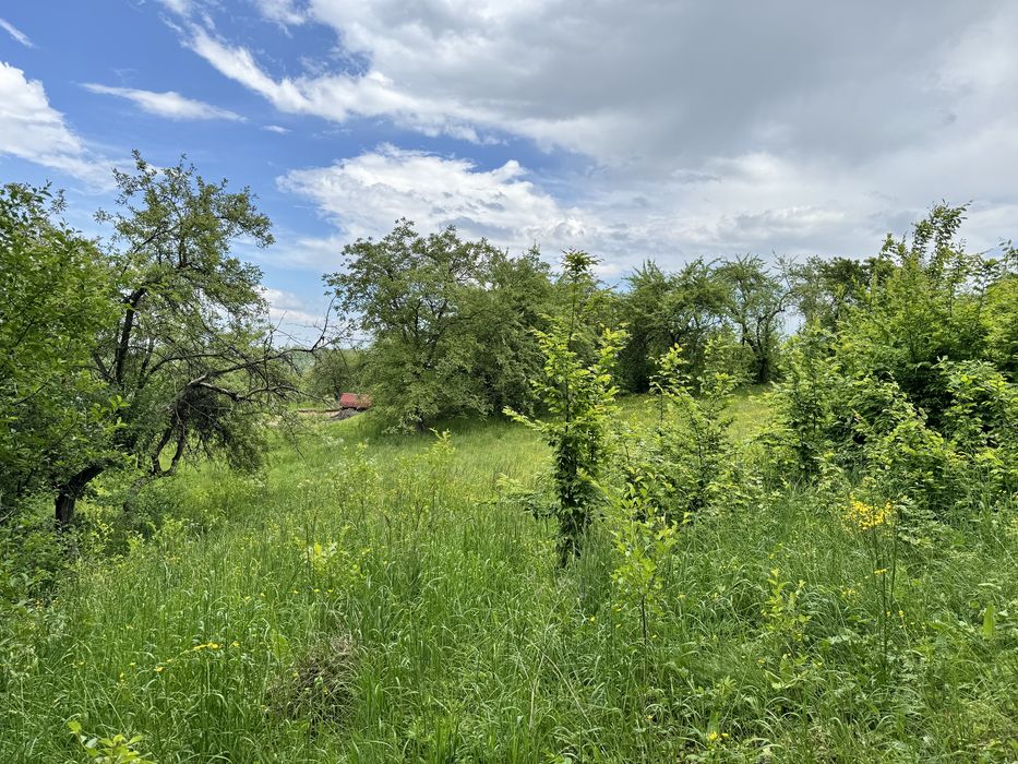Земля 10 сотих під будівництво м. Долина, вул. Томашівського 1А
