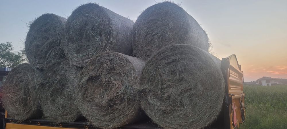 Siano w belach baloty rolki