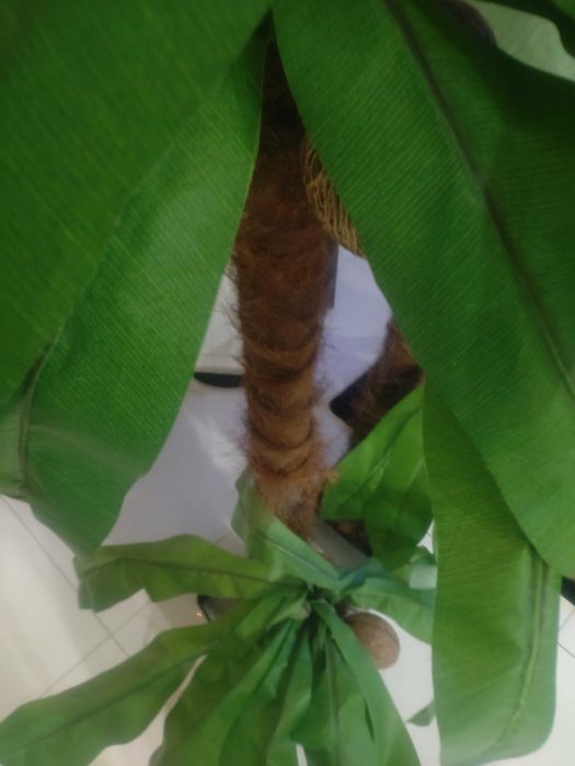 Dwie Sztuczne Palmy 125cm - Dekoracja wnętrz, imprez, lokalu