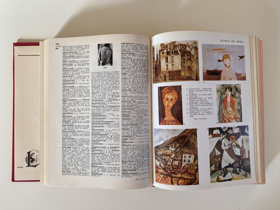 Petit Larousse illustre słownik francuski