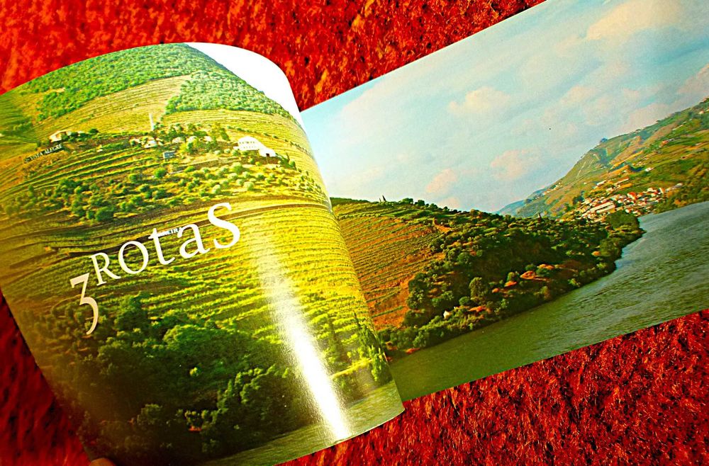 Turismo - Douro Religioso - Guia