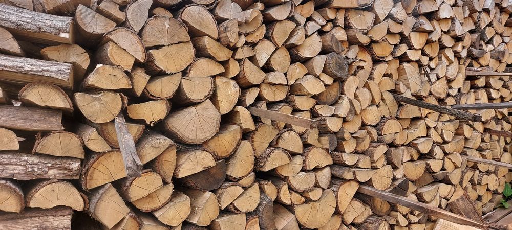 DĄB, Dąb czerwony, Drewno Kominkowe, do pieca, Opałowe,  - Łódzkie