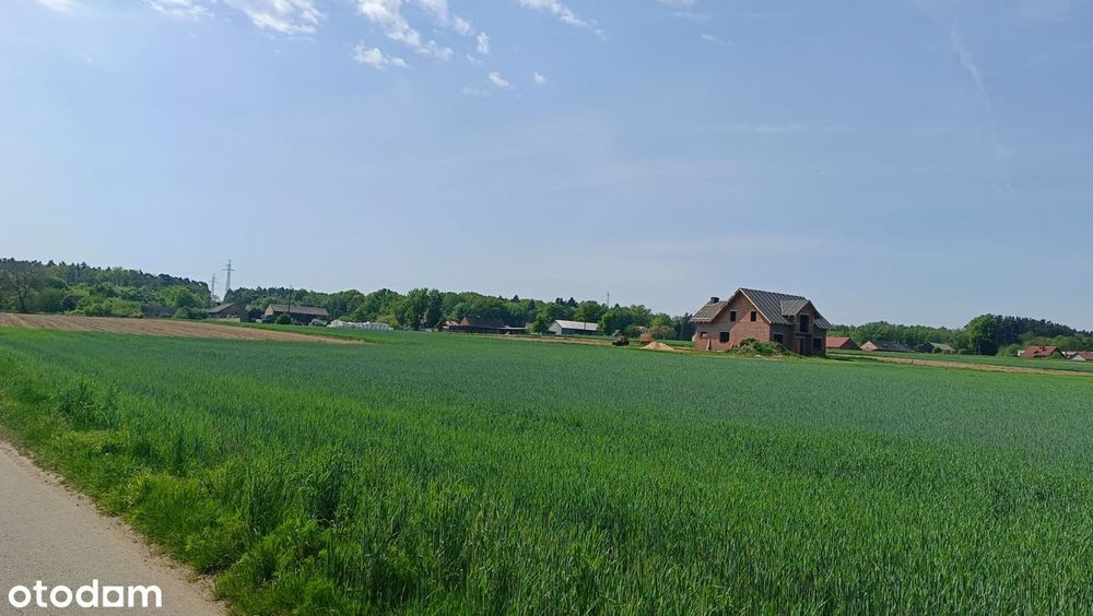 Sprzedam działki budowlane - Przedborów