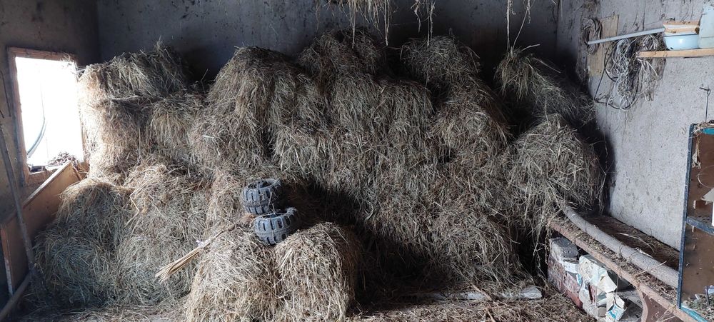 продам сіно різнотрав'я 2004 рік с. Шишківці