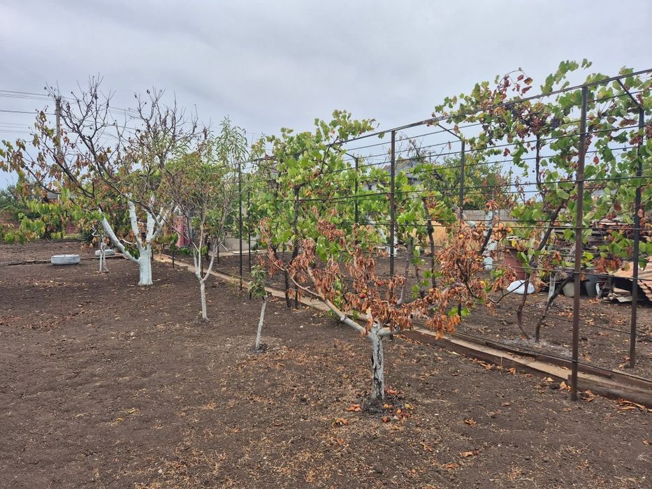 Продам дачу возле моря Черноморск