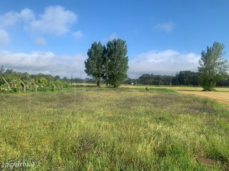 Terreno para construção em Estarreja