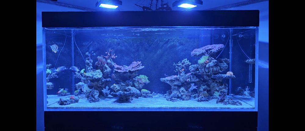 Aquário 590litros 140x65x65  vidro extra claro  com móvel acessórios e  rochas