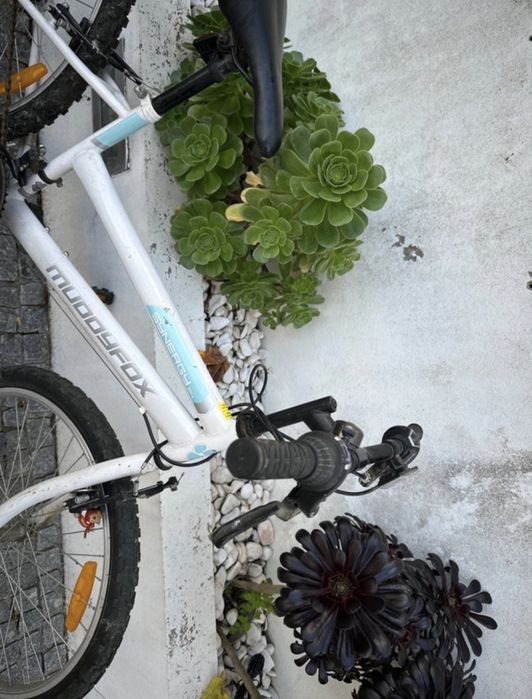 Bicicleta Synergy 24
