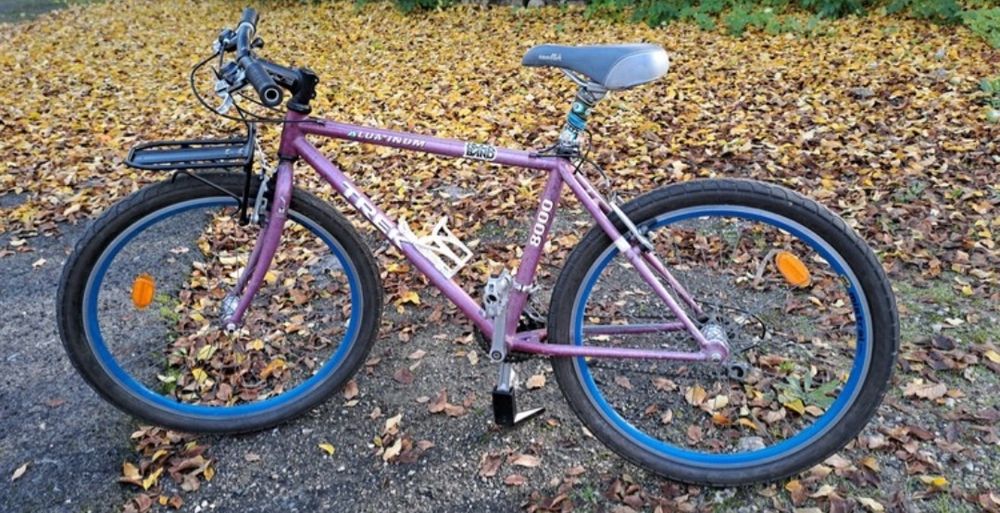 Btt Trek old school 26er