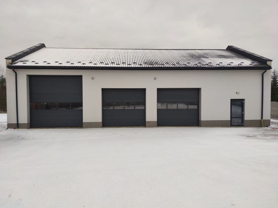 Wynajmę hale, warsztat samochodowy droga DW 780 Brodła, Alwernia