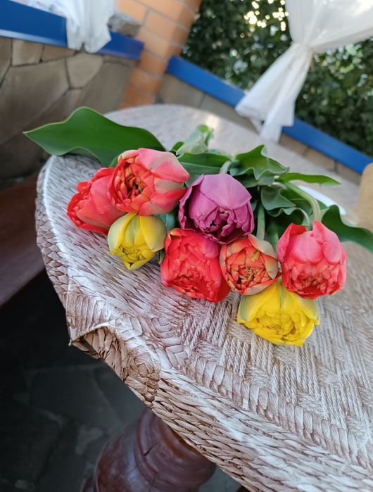 Тюльпани квіти букети