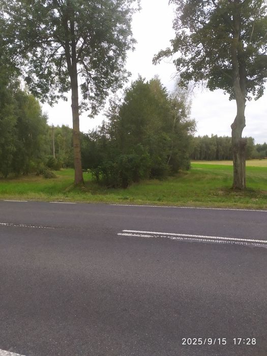Sprzedam grunt 2,2825 ha przy drodze krajowej  nr.60