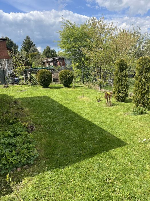 Zdjęcie 5