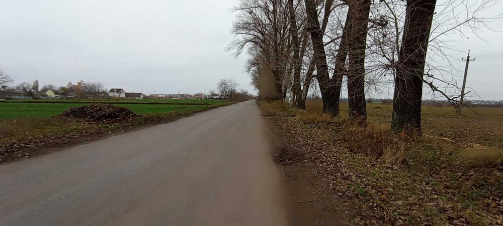 (8) Продам земельну ділянку