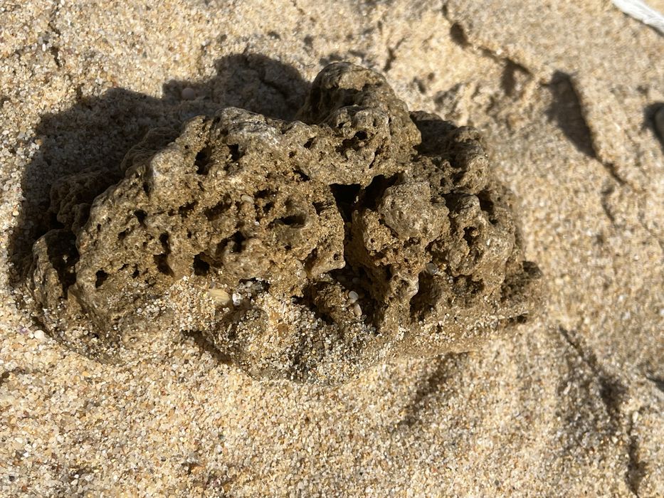 Perdra para aquario ou terrario com grutas que atravessam a pedra