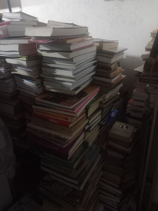 Grande lote de livros