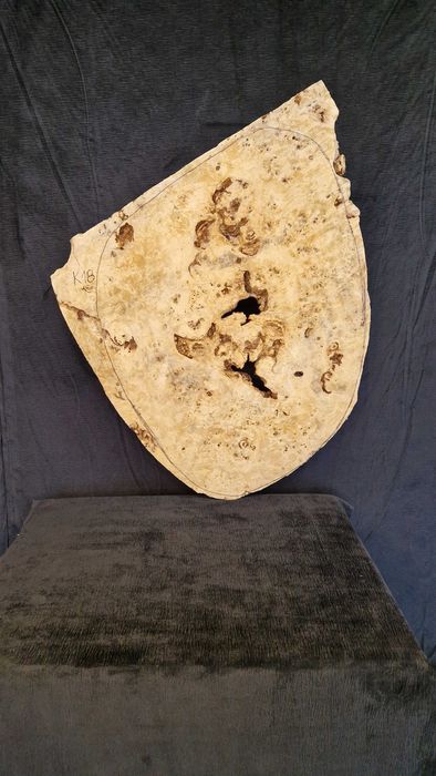 K18 104x77x10 czeczota monolit live edge plaster żywica lite drzewo