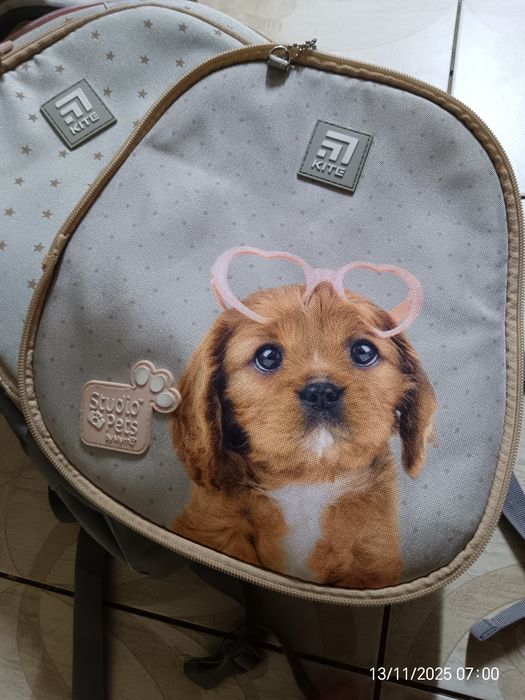 Рюкзак шкільний.