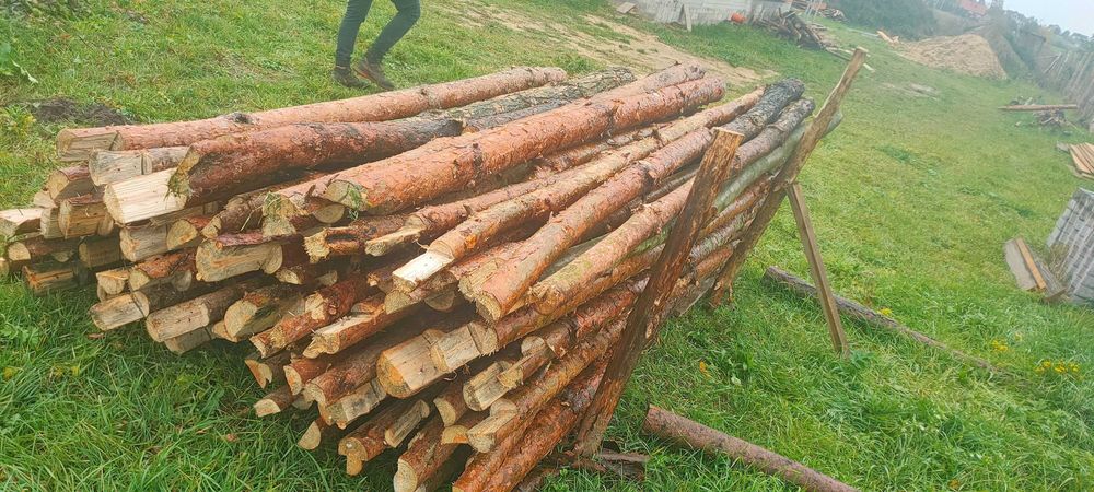 Stemple budowlane 2,91 m