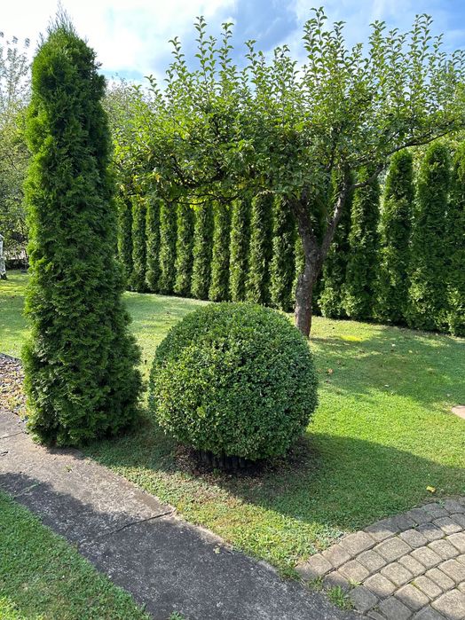 Działka Rod Warszawa Targówek
