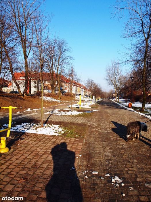 56 m² | 1. piętro | Możliwość 3 pokoi | Aleja Marka - Więcej