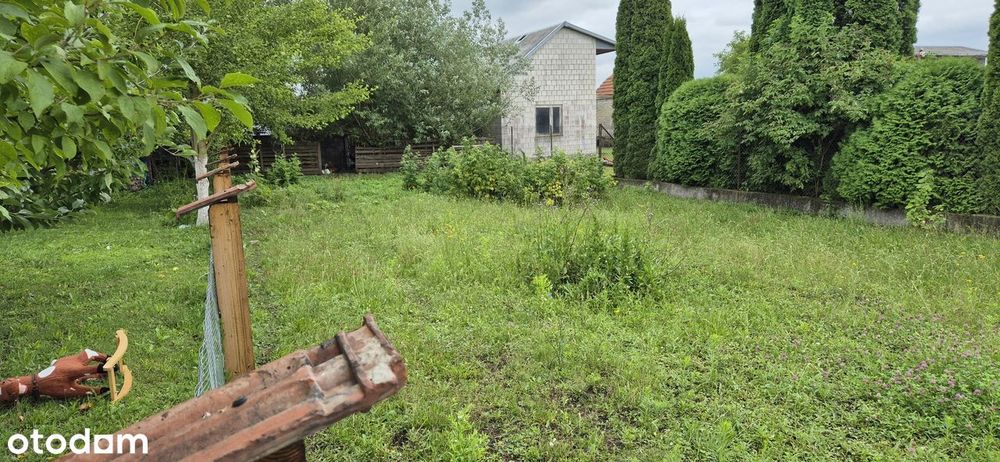 Syndyk sprzeda działkę niezabudowaną w m. Stara Zagość, gm. Pińczów