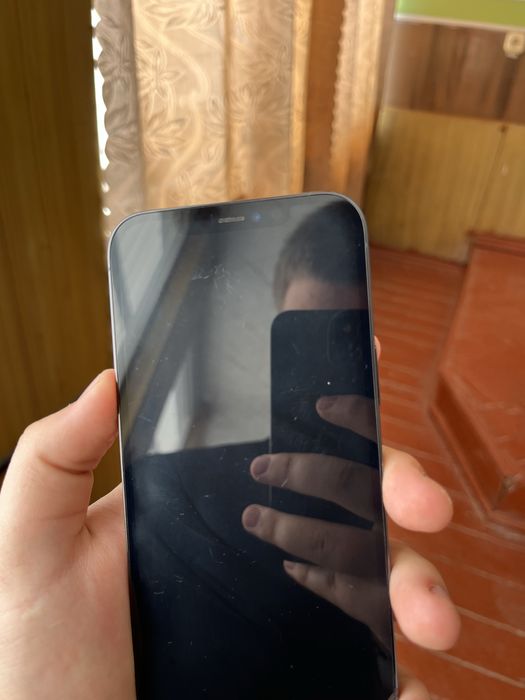 iphone 12 pro max
