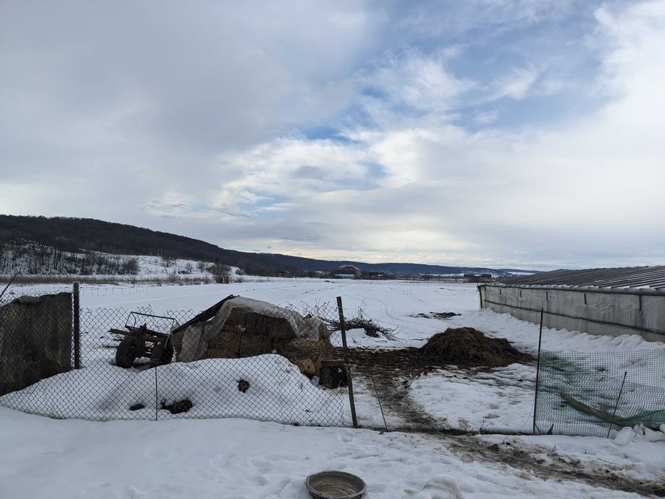 Продається відпочинковий будинок біля р. Дністер у с. Стриганці (2)