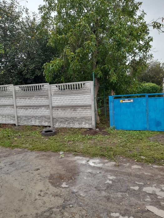 Продам будинок с.Василівка