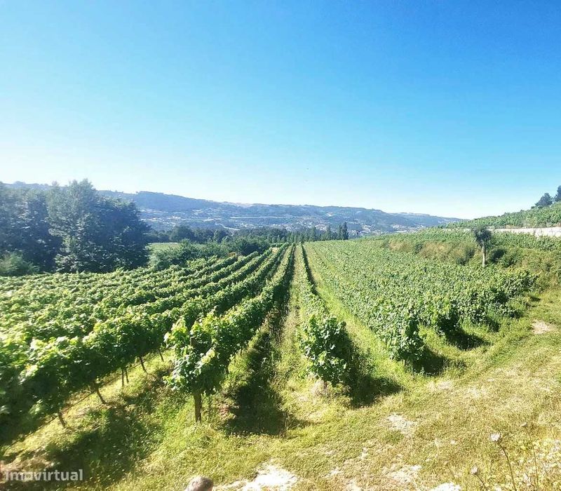 Quinta com exploração de viticultura em Guimarães