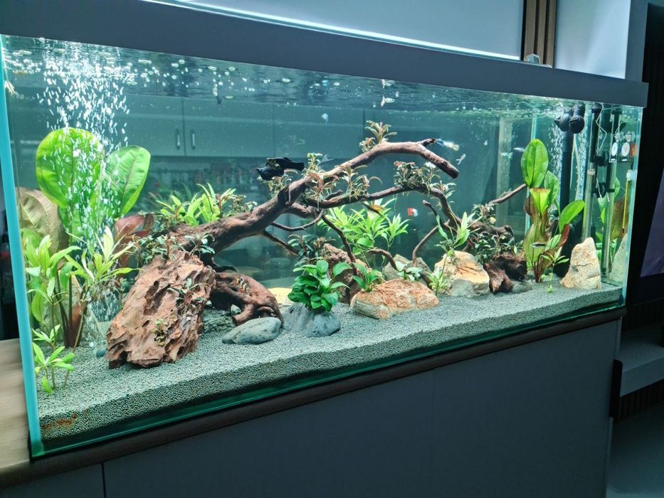 Aquario com Iluminação Week Aqua V1200SE