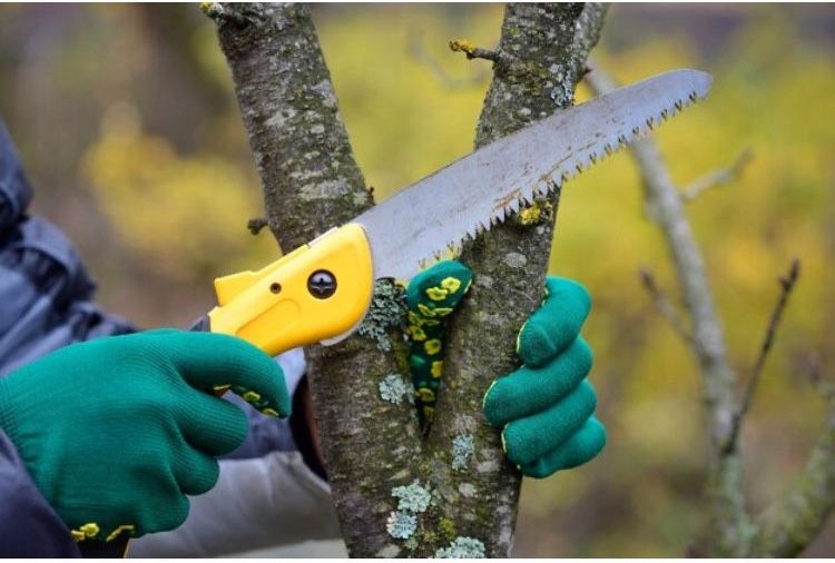 САДОВНИК- все садовые работы;обработка и обрезка фруктовых и винограда