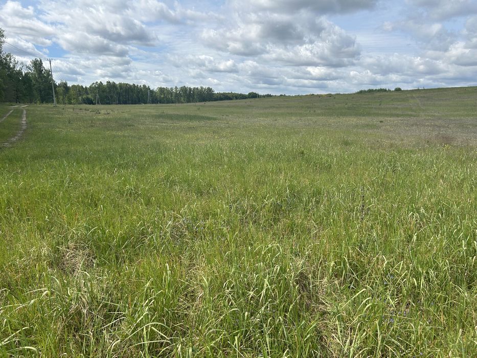 Działki budowlane - Widok 5