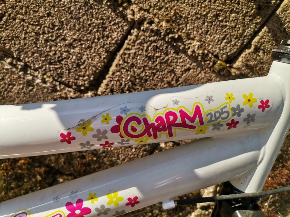 Bicicleta - Menina - Berg - Charm 205 - R20