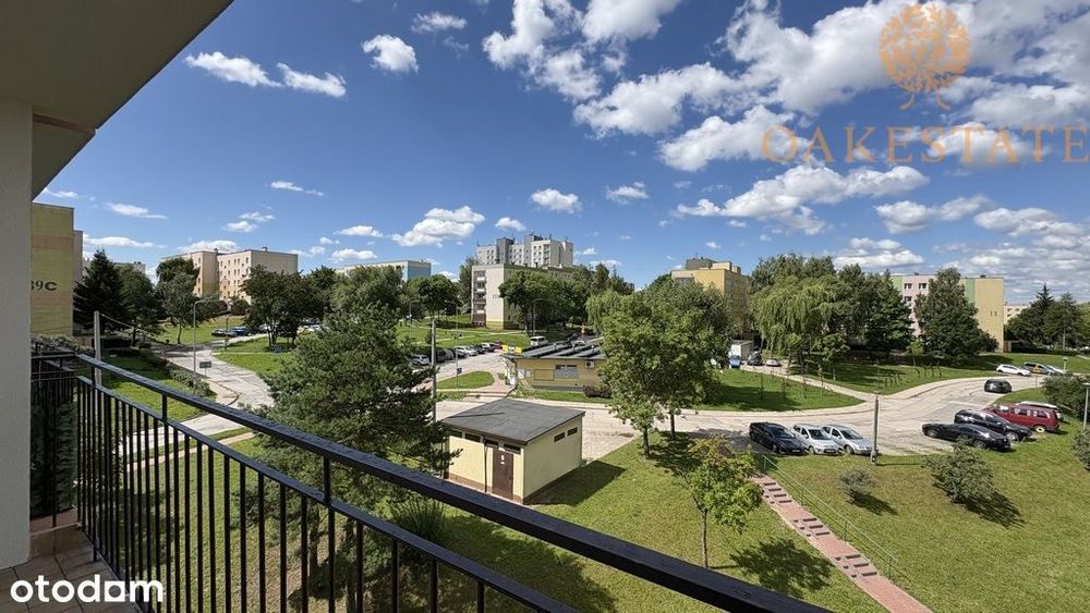 Zdjęcie 3