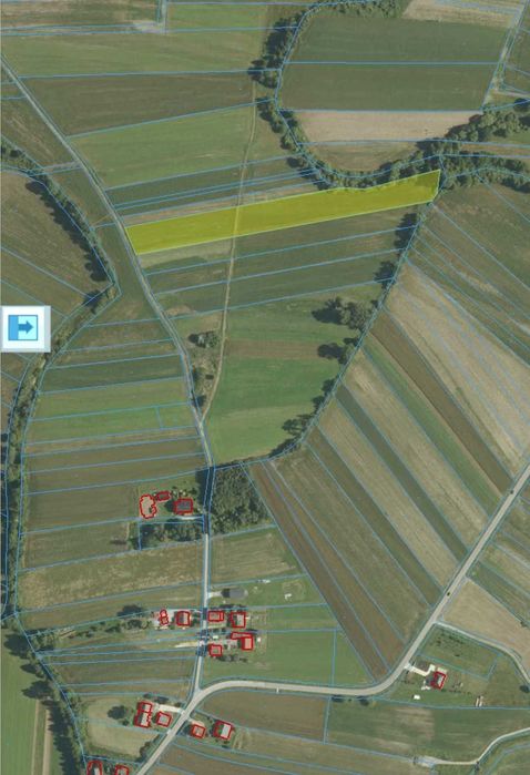 Działka rolna 0,99 ha (99,14 ar) Strzelce Wielkie - Widok 2