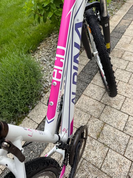 Rower młodzieżowy ALPINA eco lm10 biały z różowymi akcentami, 26-calowe koła