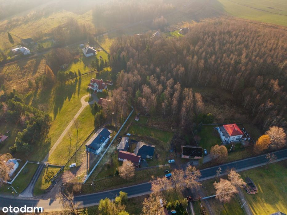Działka budowlana z własnymi skałkami Jurajskimi - Widok 2